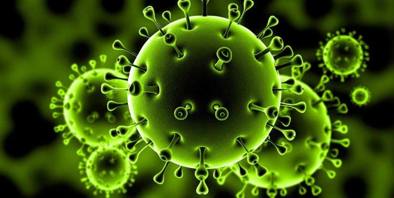 فيروس كورونا أعراض وعلاج وطرق الوقاية